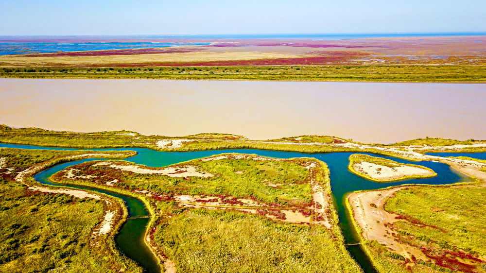 W020230828414871493354